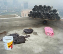 Chống thấm nhà vệ sinh, toilet tại đà nẵng Chống thấm nhà vệ sinh, toilet tại đà nẵng